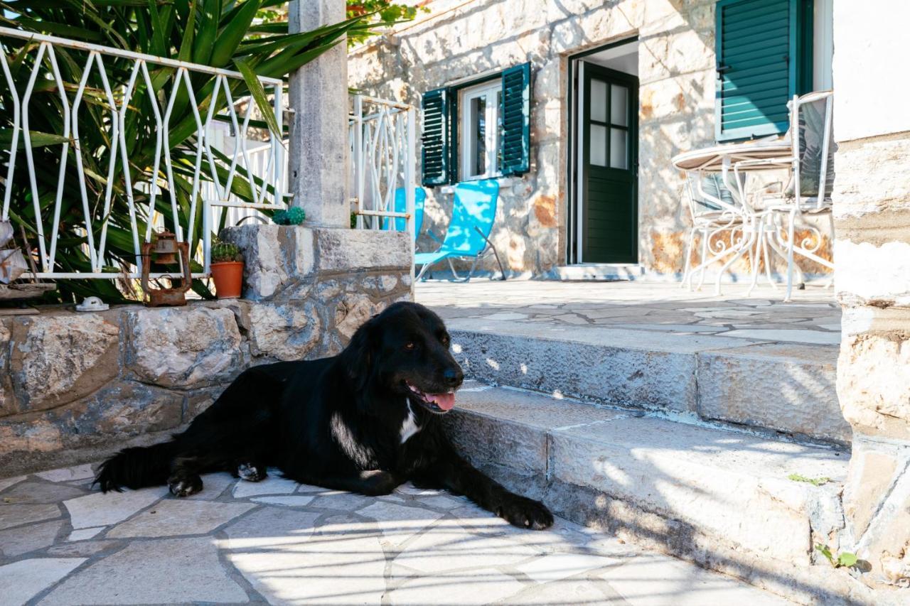 A Kind Of Magic Appartement